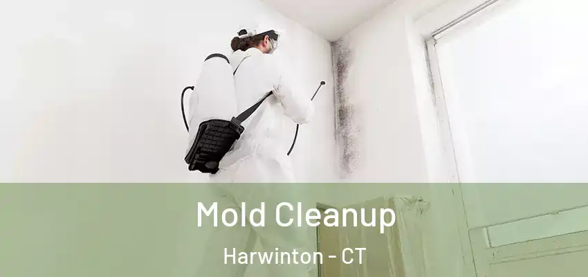 Mold Cleanup Harwinton - CT