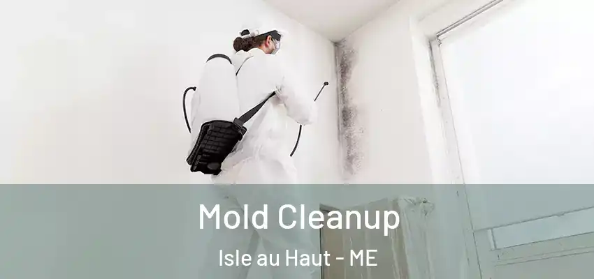Mold Cleanup Isle au Haut - ME