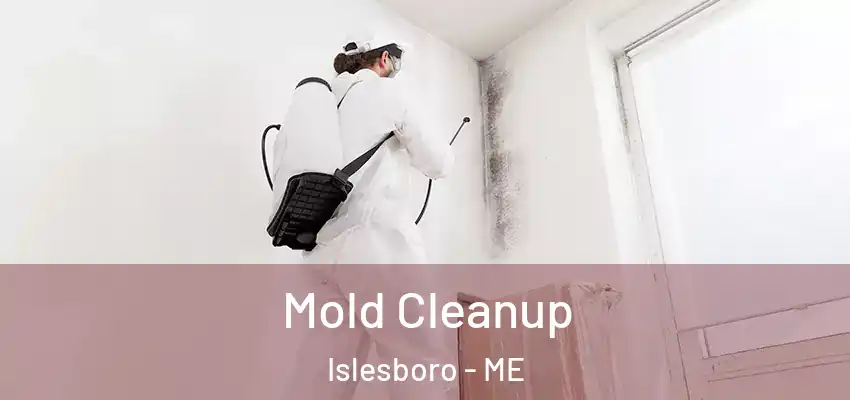 Mold Cleanup Islesboro - ME
