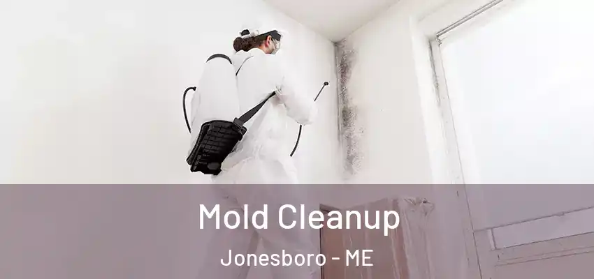 Mold Cleanup Jonesboro - ME