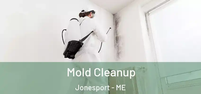 Mold Cleanup Jonesport - ME