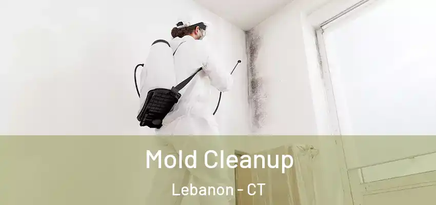 Mold Cleanup Lebanon - CT
