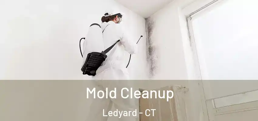 Mold Cleanup Ledyard - CT
