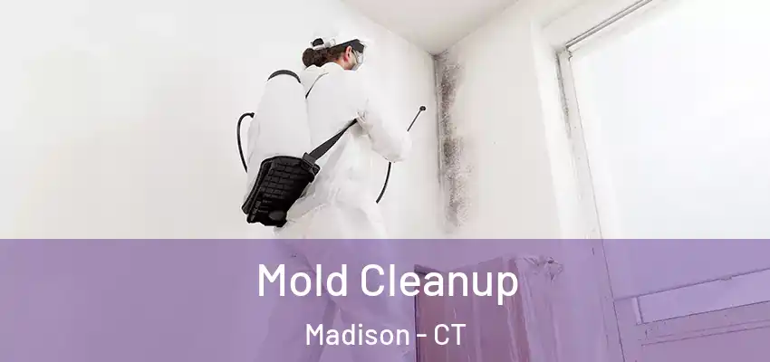 Mold Cleanup Madison - CT
