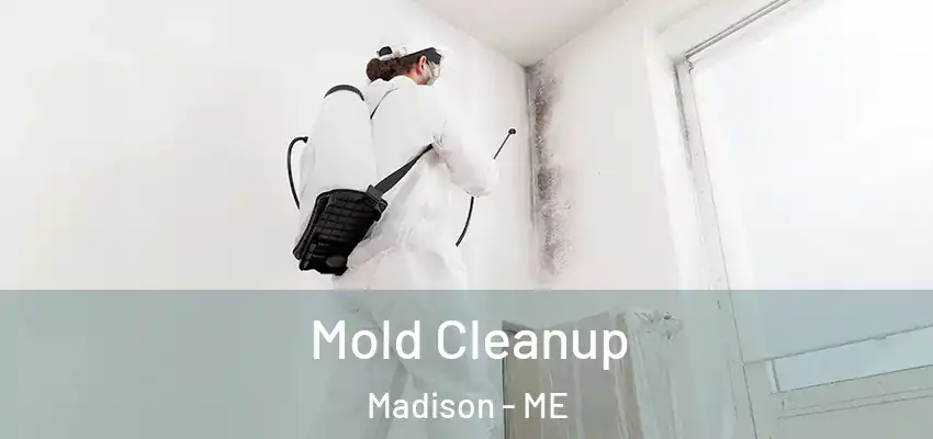 Mold Cleanup Madison - ME