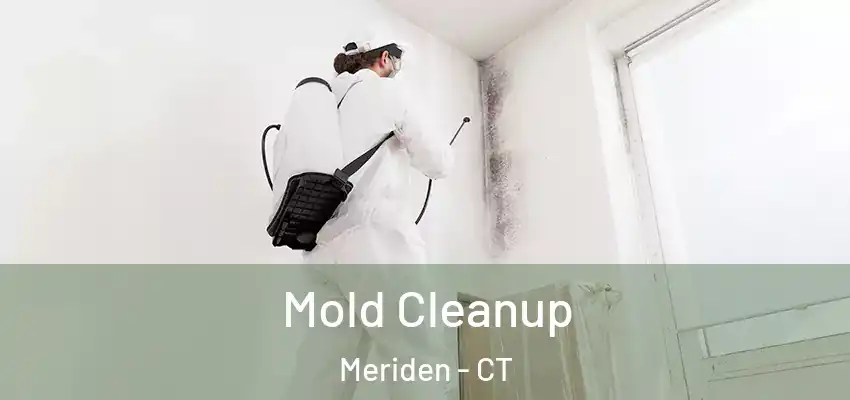 Mold Cleanup Meriden - CT