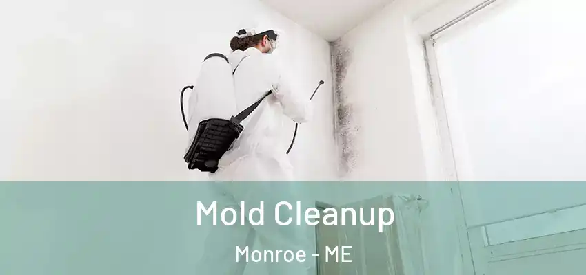 Mold Cleanup Monroe - ME