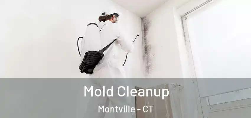 Mold Cleanup Montville - CT