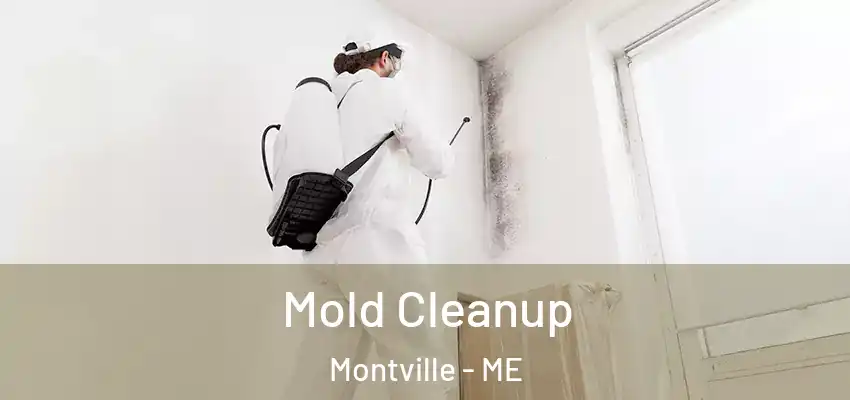 Mold Cleanup Montville - ME