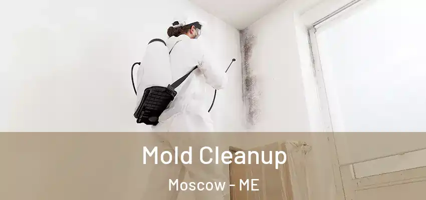 Mold Cleanup Moscow - ME