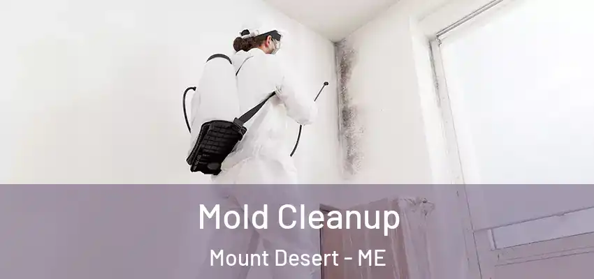Mold Cleanup Mount Desert - ME