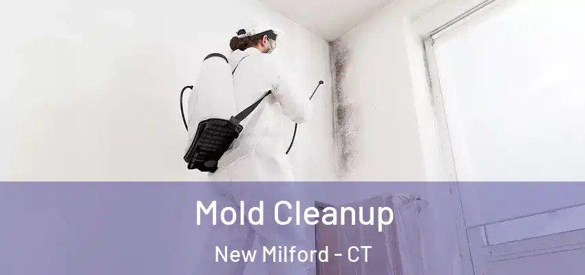  Mold Cleanup New Milford - CT