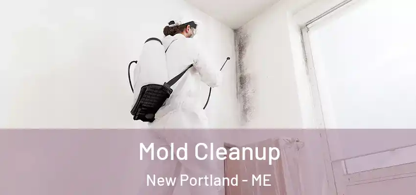 Mold Cleanup New Portland - ME