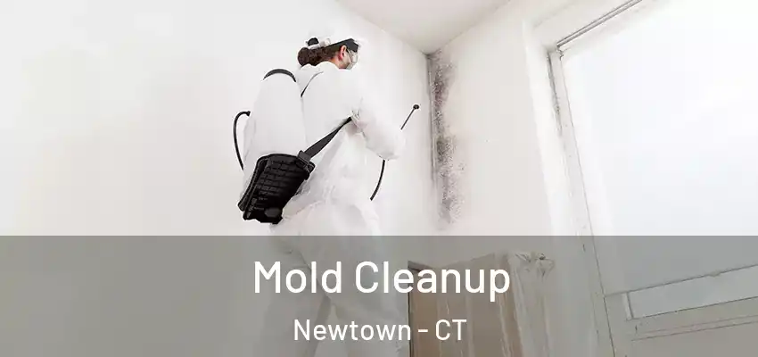 Mold Cleanup Newtown - CT