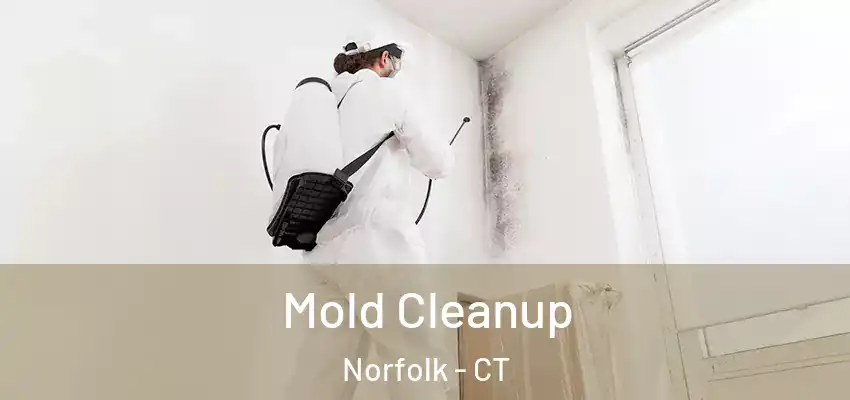 Mold Cleanup Norfolk - CT
