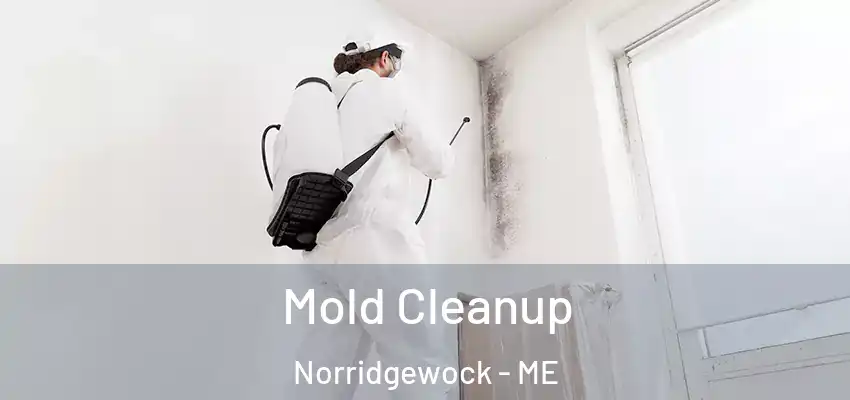 Mold Cleanup Norridgewock - ME