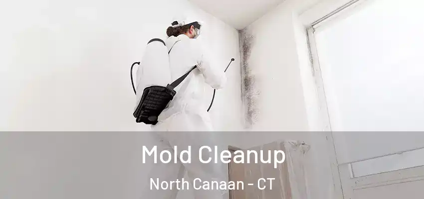 Mold Cleanup North Canaan - CT