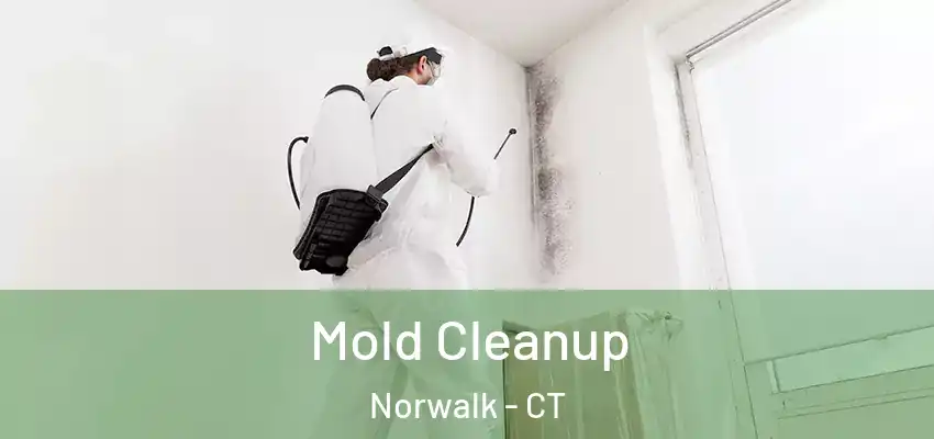 Mold Cleanup Norwalk - CT