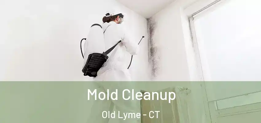 Mold Cleanup Old Lyme - CT