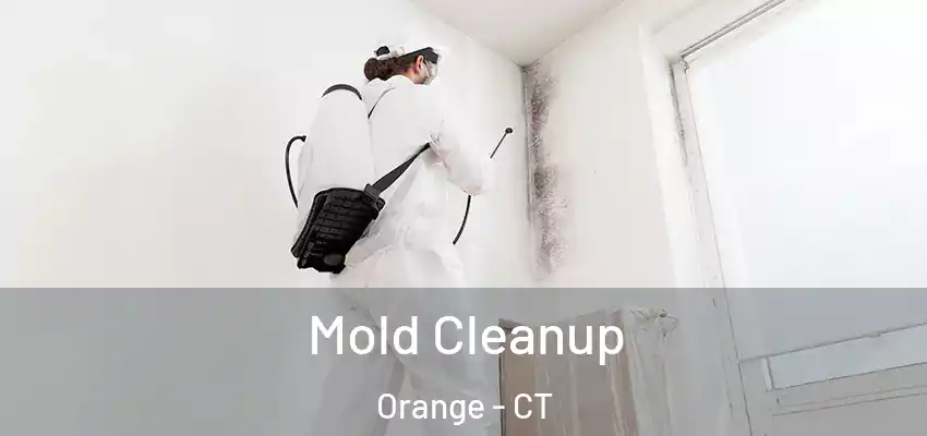Mold Cleanup Orange - CT