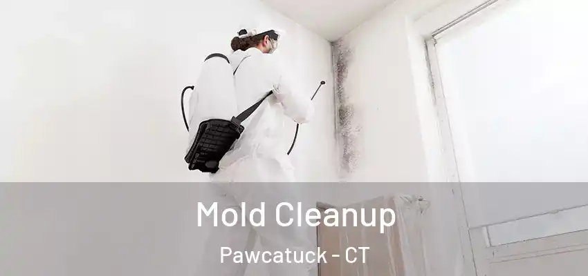 Mold Cleanup Pawcatuck - CT