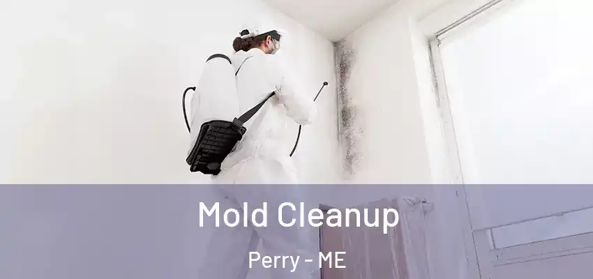 Mold Cleanup Perry - ME