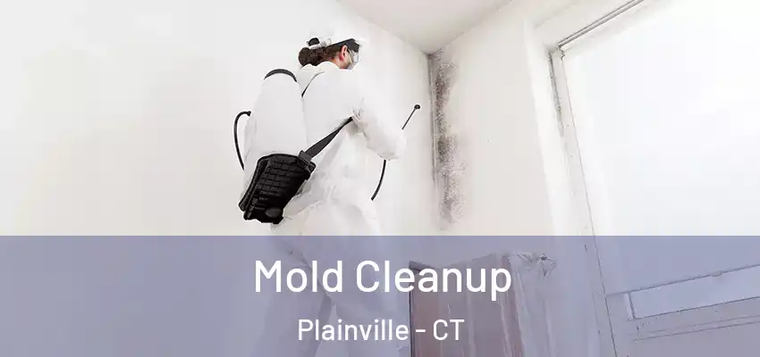 Mold Cleanup Plainville - CT
