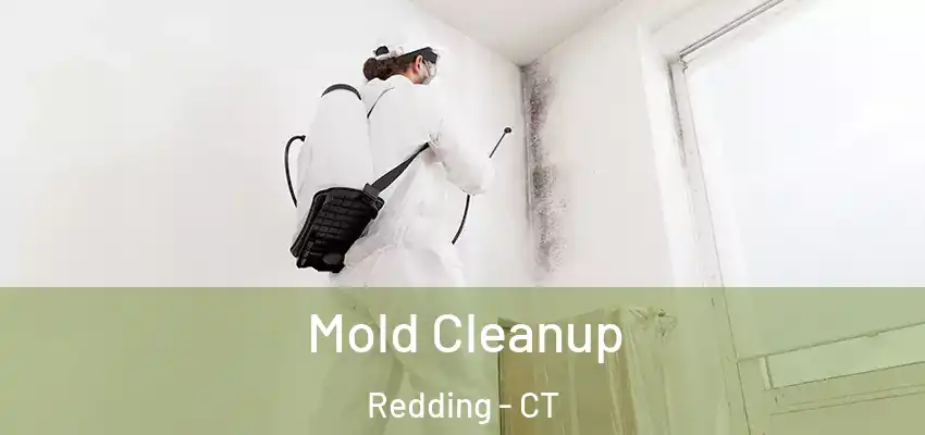 Mold Cleanup Redding - CT