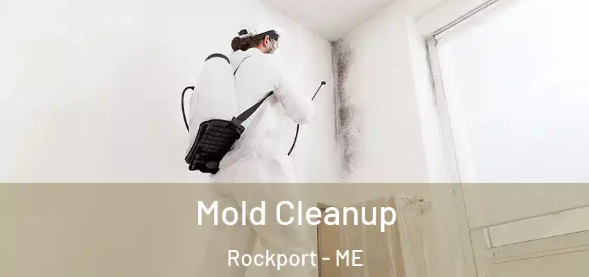 Mold Cleanup Rockport - ME