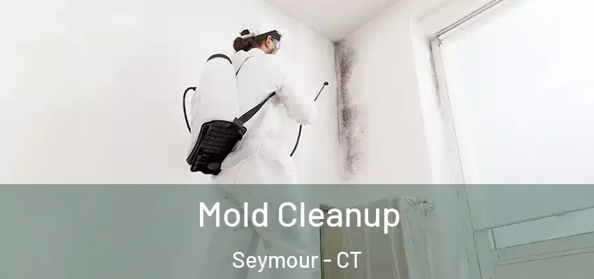 Mold Cleanup Seymour - CT