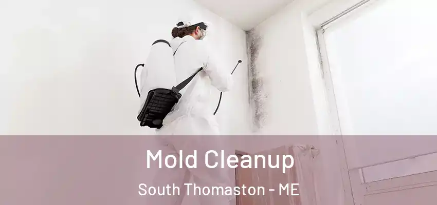  Mold Cleanup South Thomaston - ME