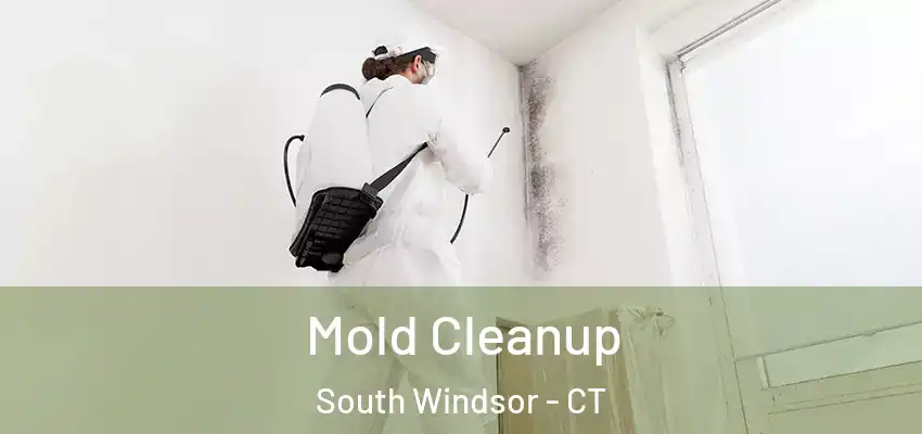 Mold Cleanup South Windsor - CT