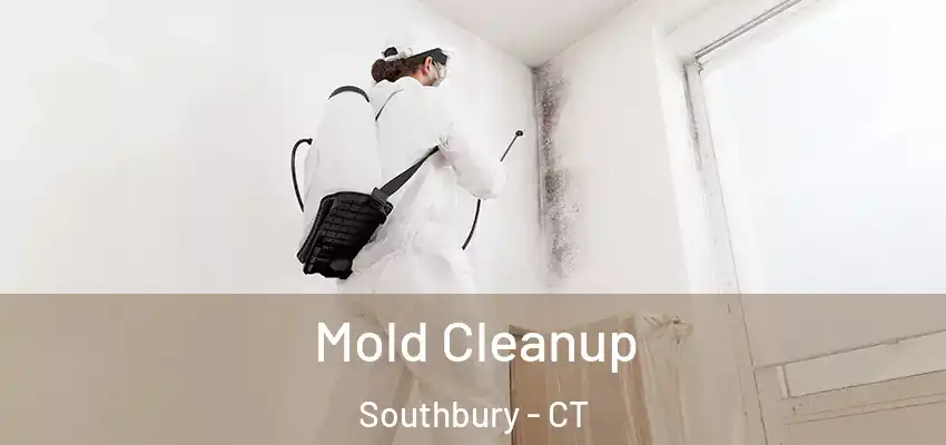  Mold Cleanup Southbury - CT