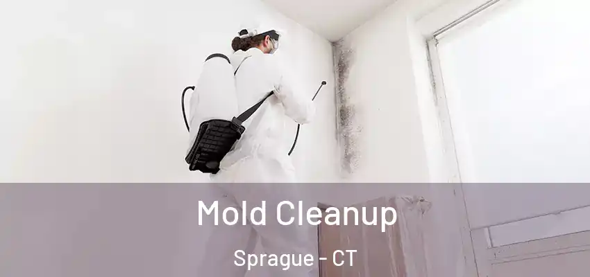 Mold Cleanup Sprague - CT