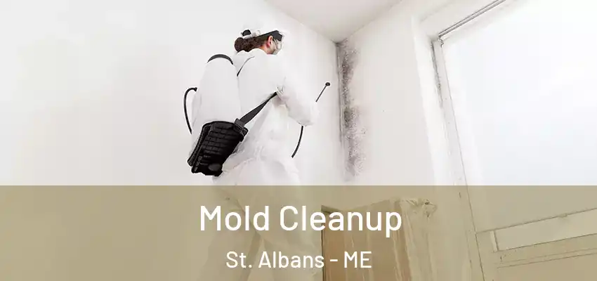 Mold Cleanup St. Albans - ME