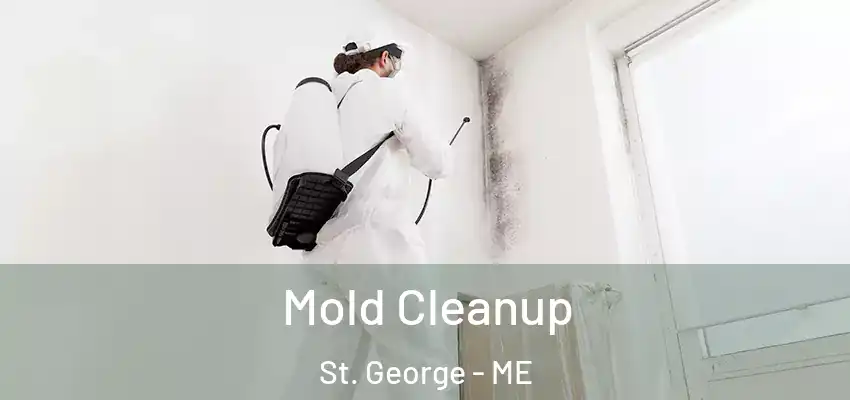 Mold Cleanup St. George - ME