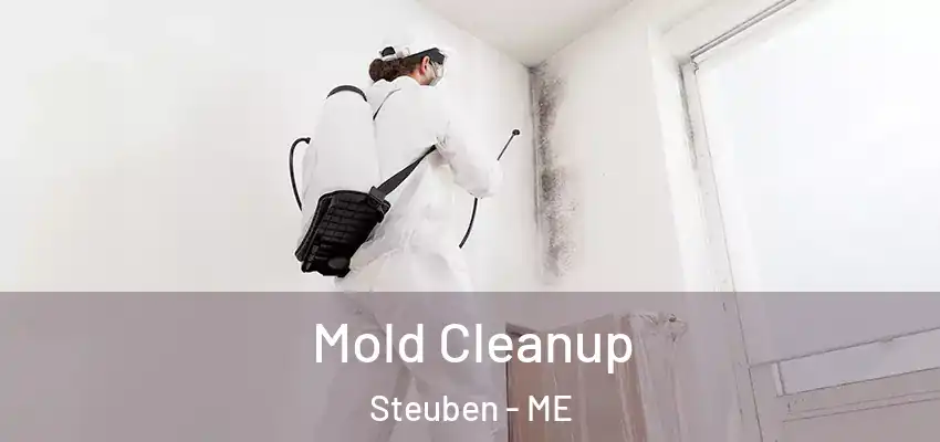 Mold Cleanup Steuben - ME