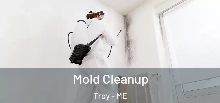 Mold Cleanup Troy - ME
