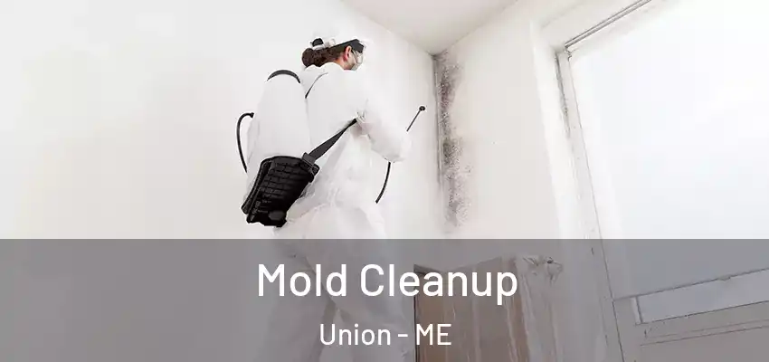 Mold Cleanup Union - ME