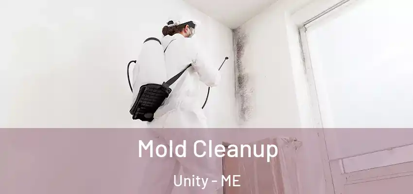 Mold Cleanup Unity - ME