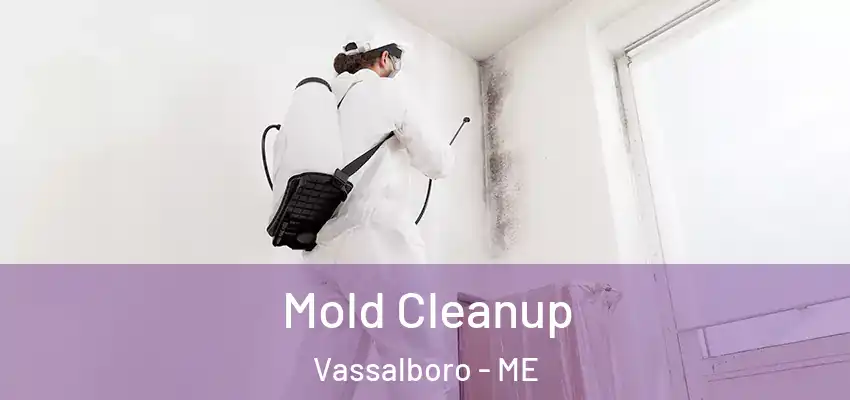 Mold Cleanup Vassalboro - ME