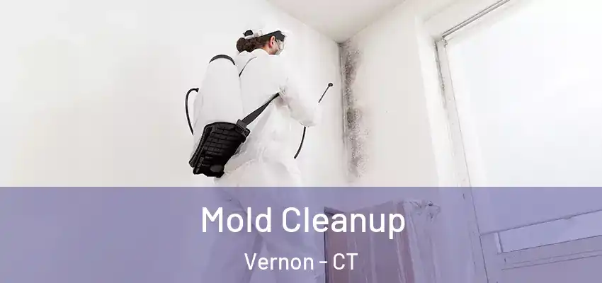 Mold Cleanup Vernon - CT