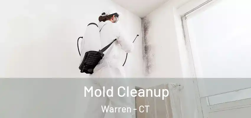 Mold Cleanup Warren - CT
