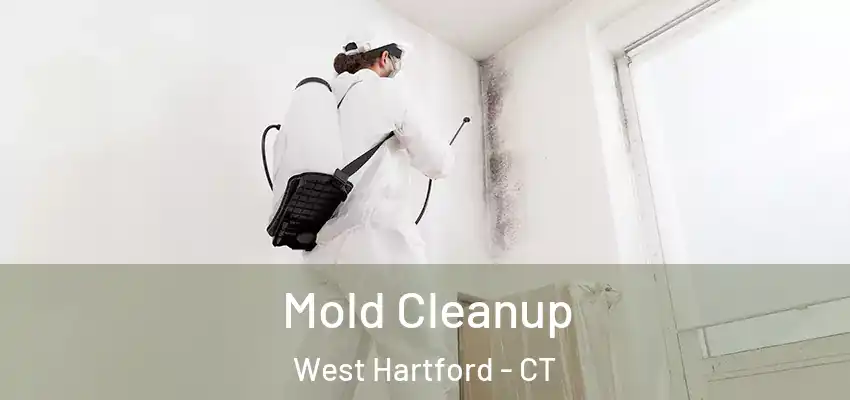  Mold Cleanup West Hartford - CT