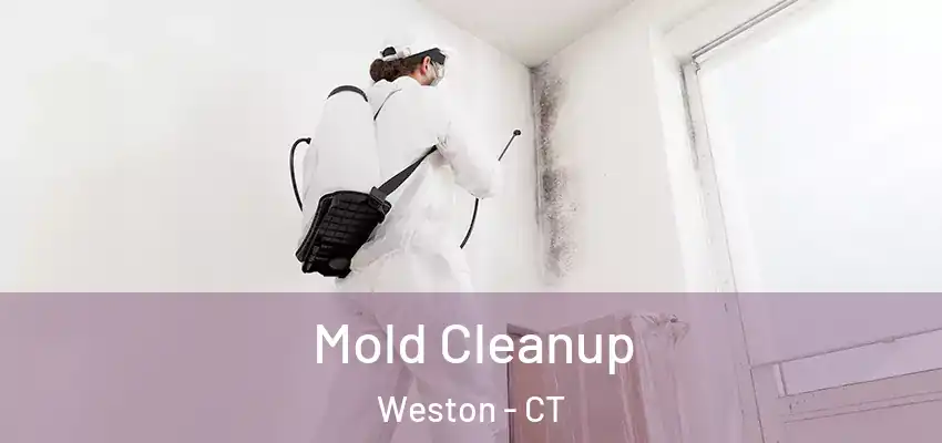 Mold Cleanup Weston - CT