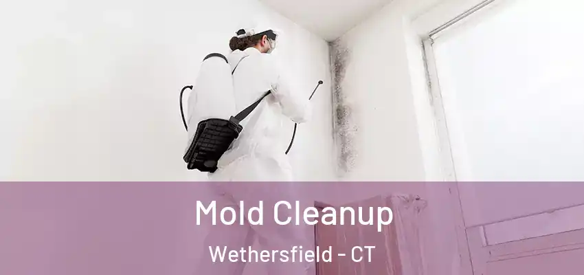 Mold Cleanup Wethersfield - CT