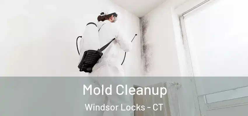 Mold Cleanup Windsor Locks - CT