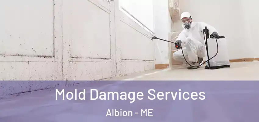Mold Damage Services Albion - ME