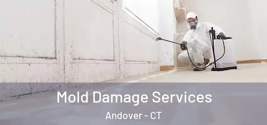 Mold Damage Services Andover - CT