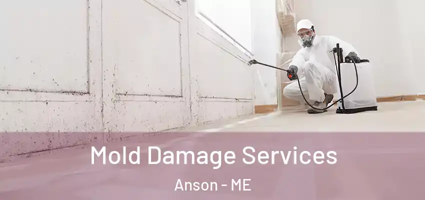 Mold Damage Services Anson - ME